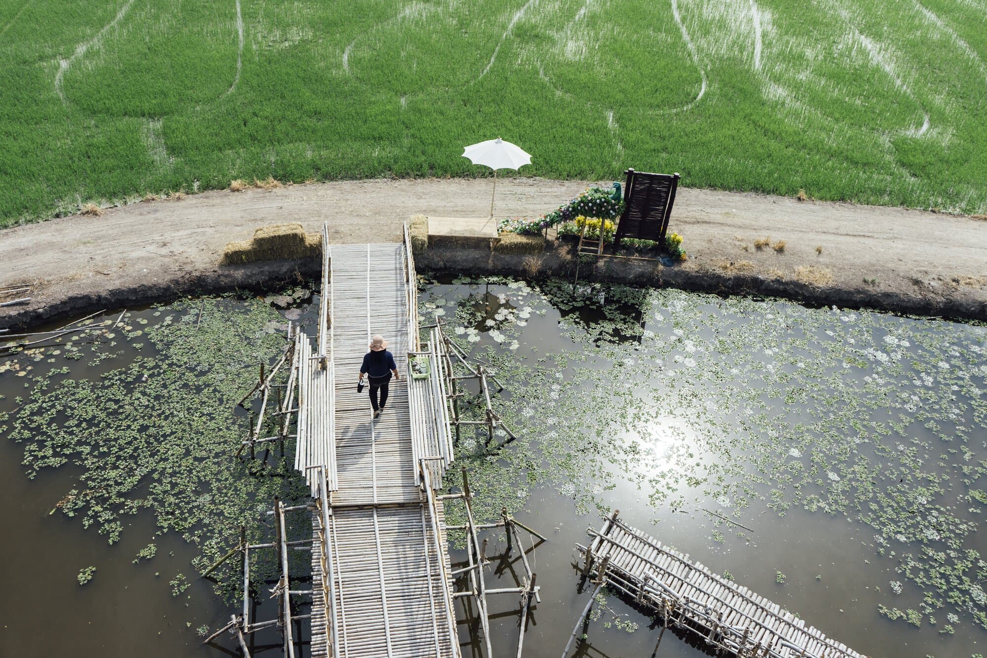 Sustainable Aquaculture: Our Commitment to the Future